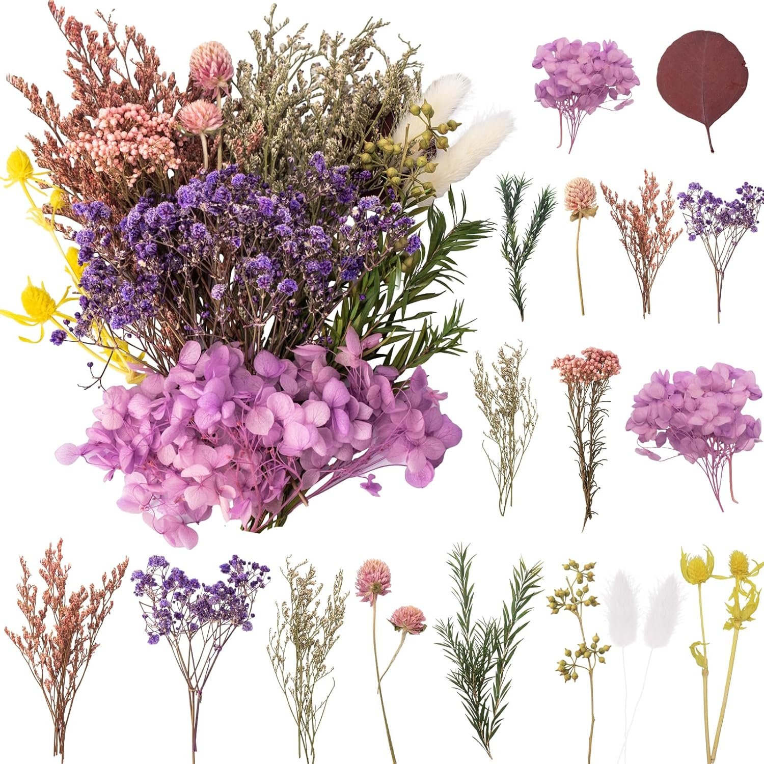 composition fleurs séchées naturelles pampa gypsophile décoration maison